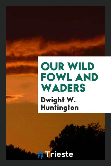 Our wild fowl and waders