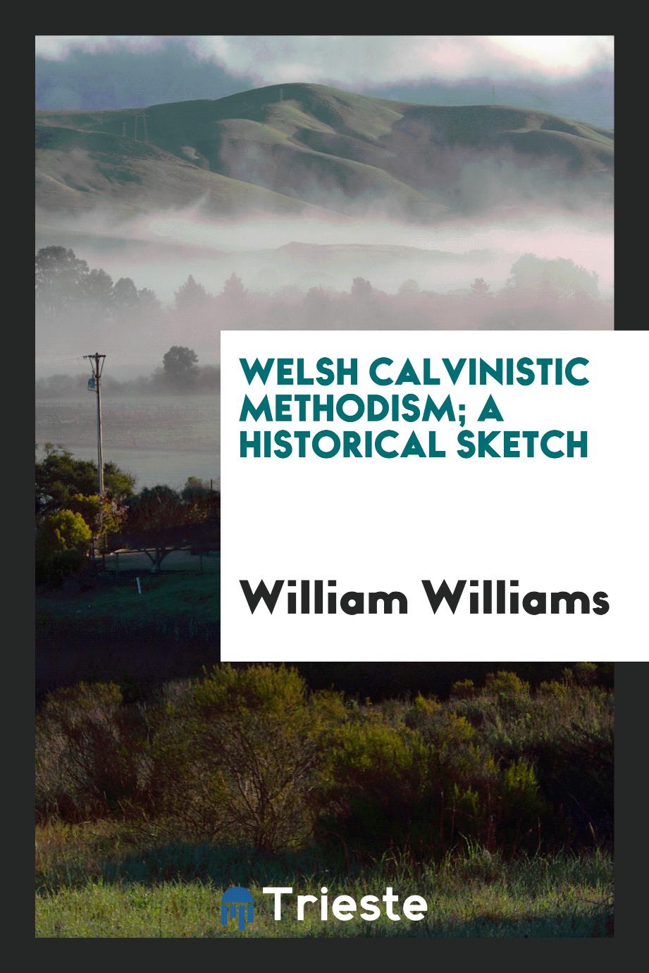 Welsh Calvinistic Methodism; a historical sketch