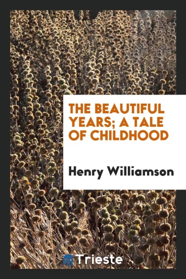 The beautiful years; a tale of childhood