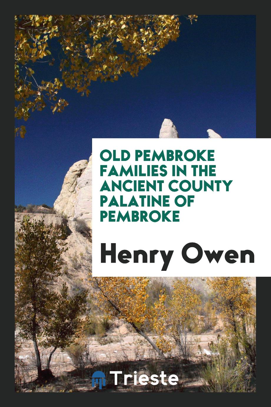 Old Pembroke families in the ancient county palatine of Pembroke
