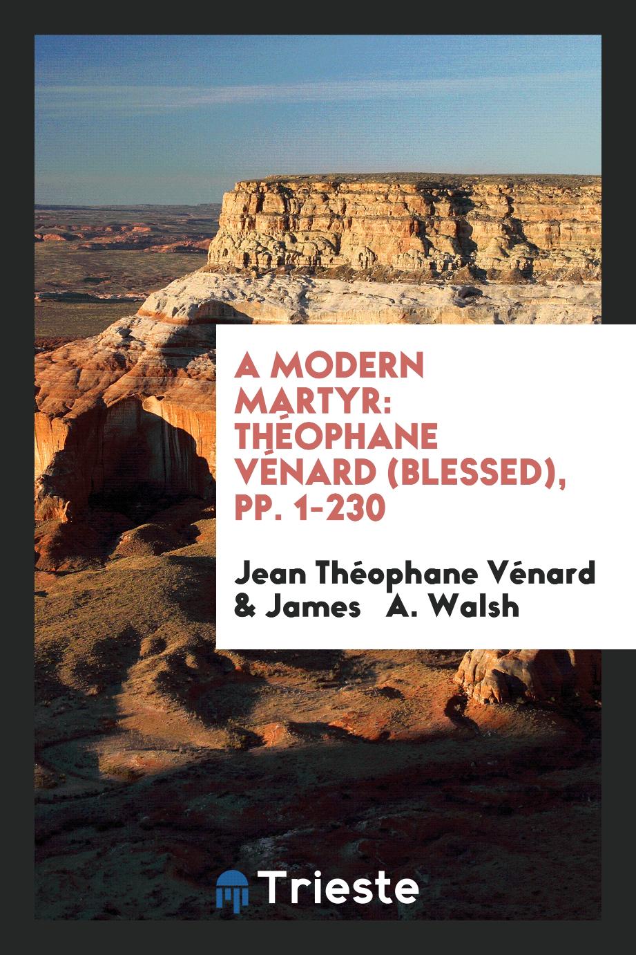A Modern Martyr: Théophane Vénard (Blessed), pp. 1-230