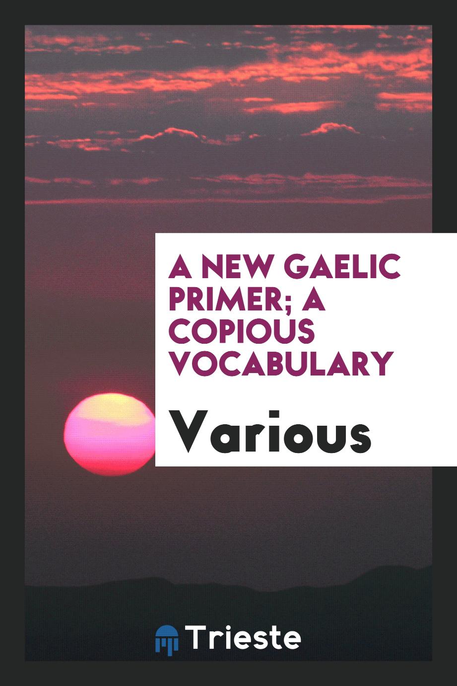 A New Gaelic Primer; A Copious Vocabulary