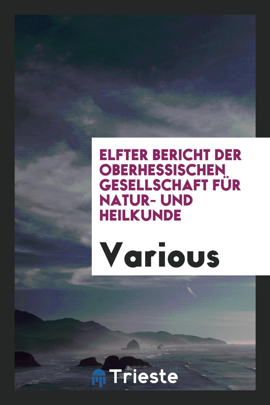 Elfter Bericht der Oberhessischen Gesellschaft für Natur- und Heilkunde