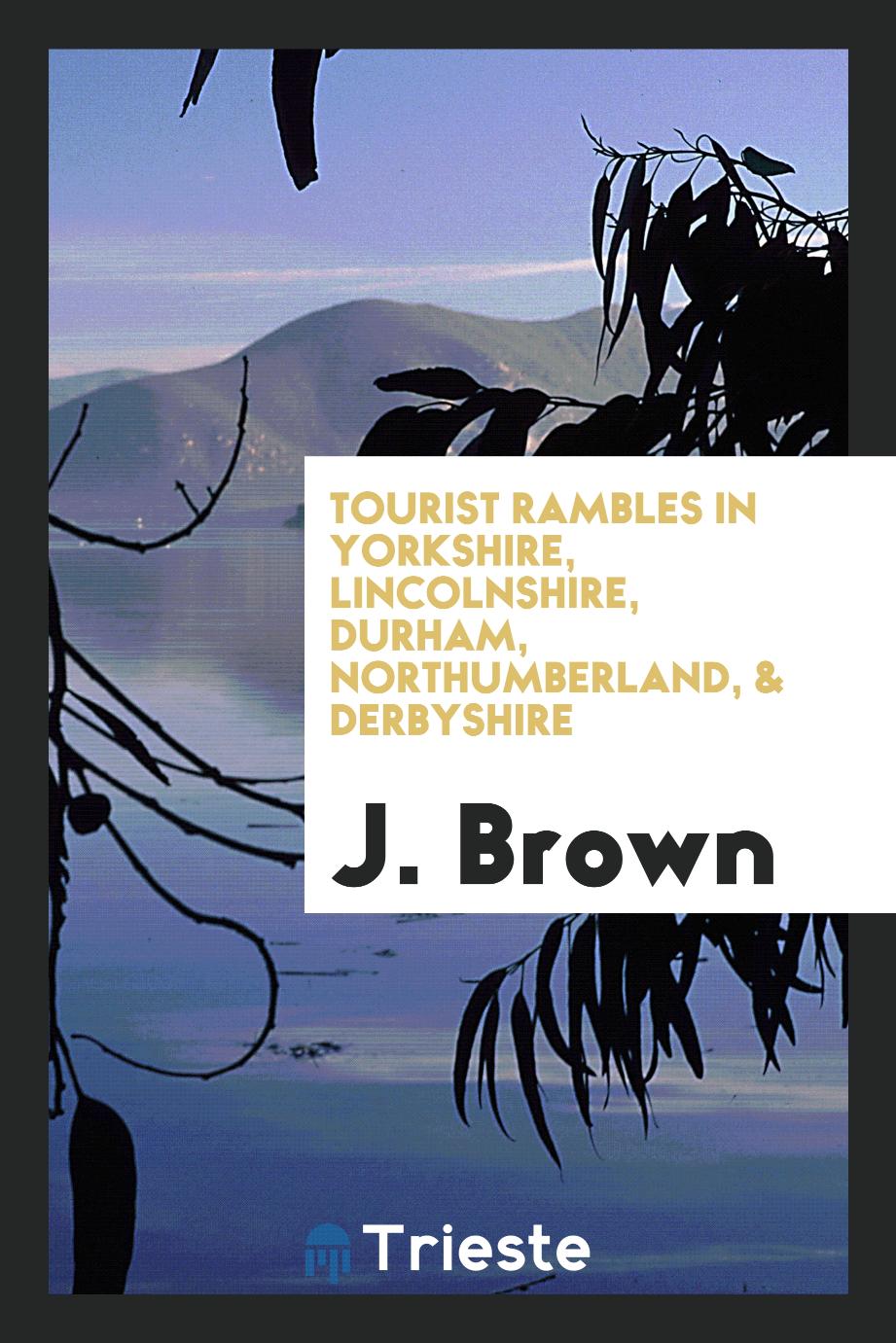 Tourist rambles in Yorkshire, Lincolnshire, Durham, Northumberland, & Derbyshire