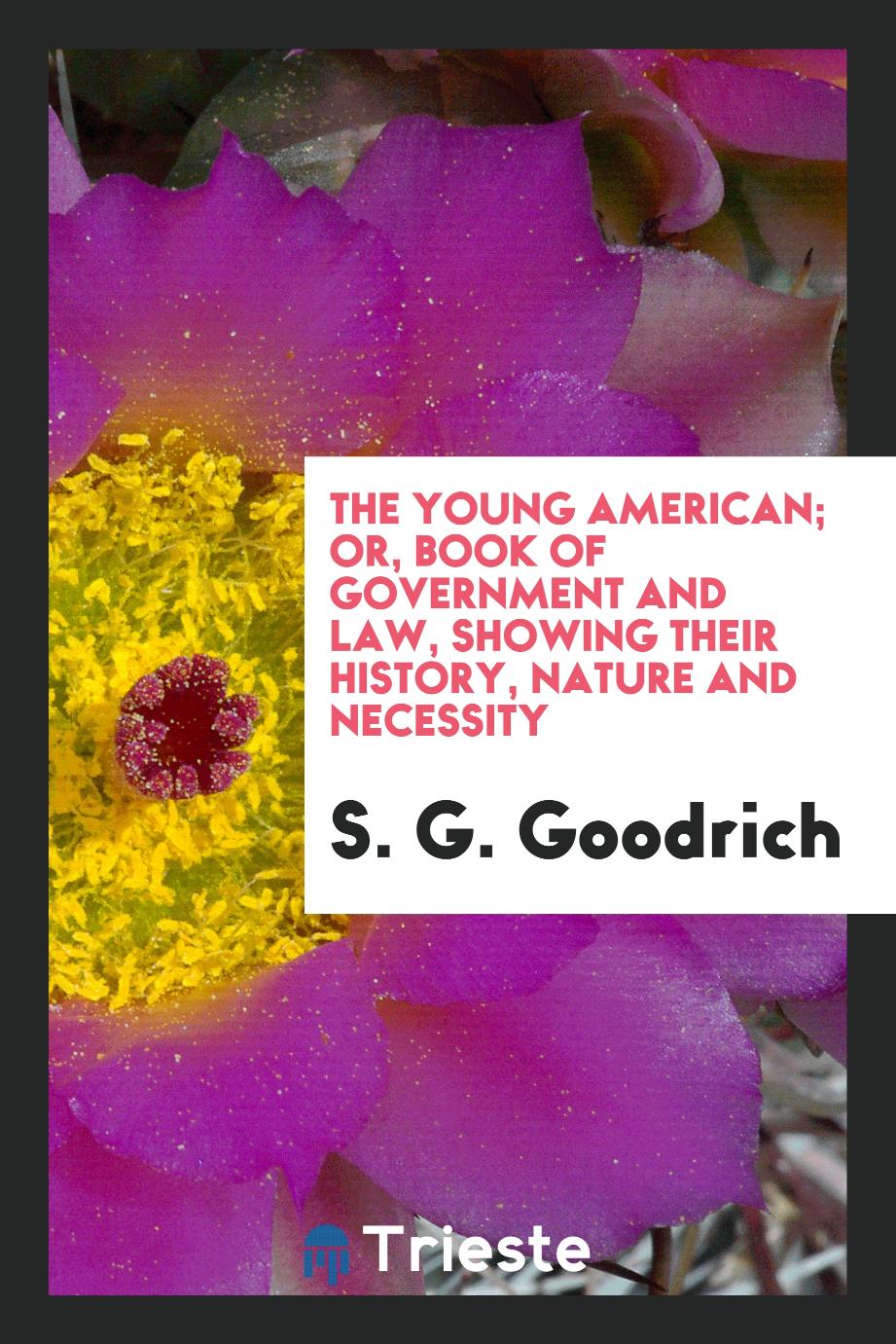 The young American; or, Book of government and law, showing their history, nature and necessity