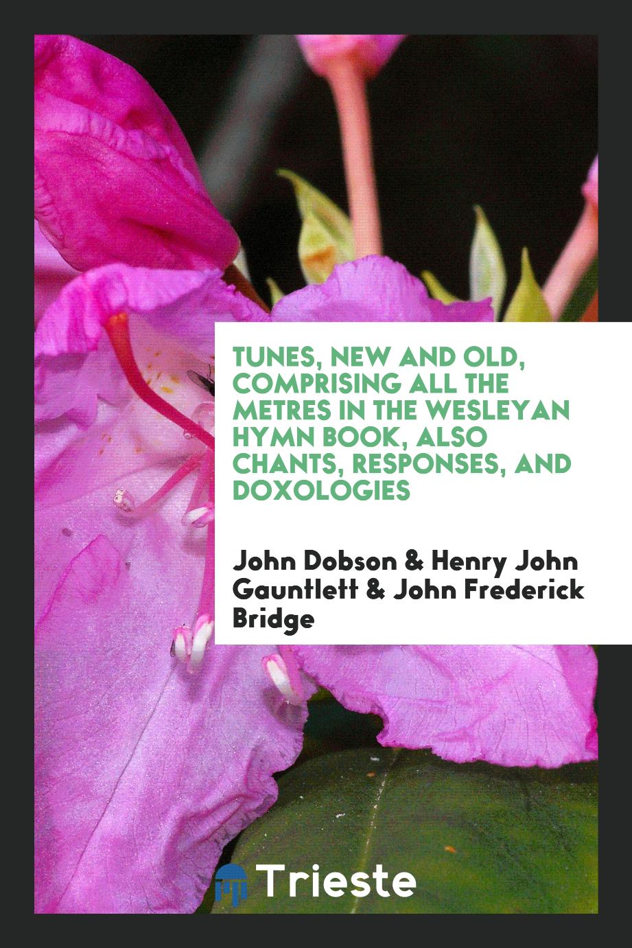 Tunes, New and Old, Comprising All the Metres in the Wesleyan Hymn Book, Also Chants, Responses, and Doxologies