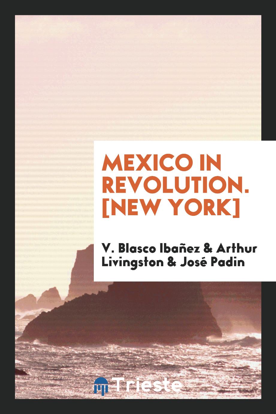 Mexico in Revolution. [New York]