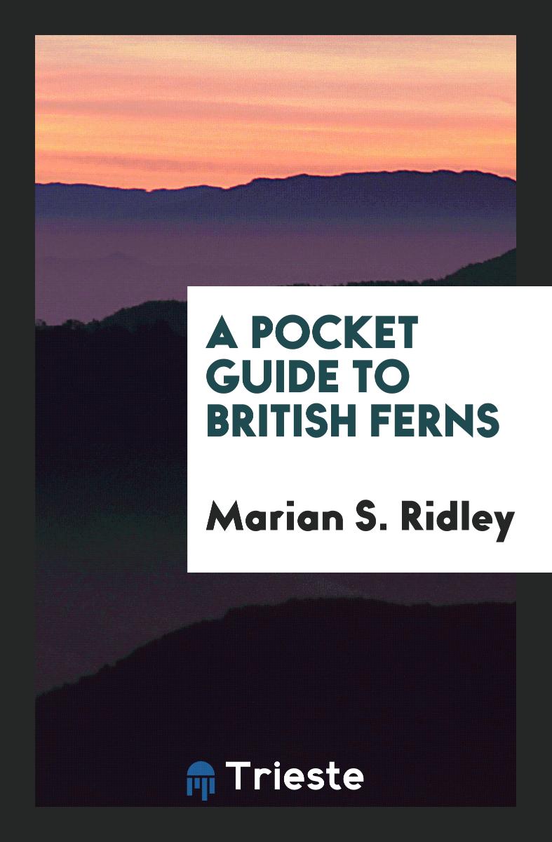 A Pocket Guide to British Ferns