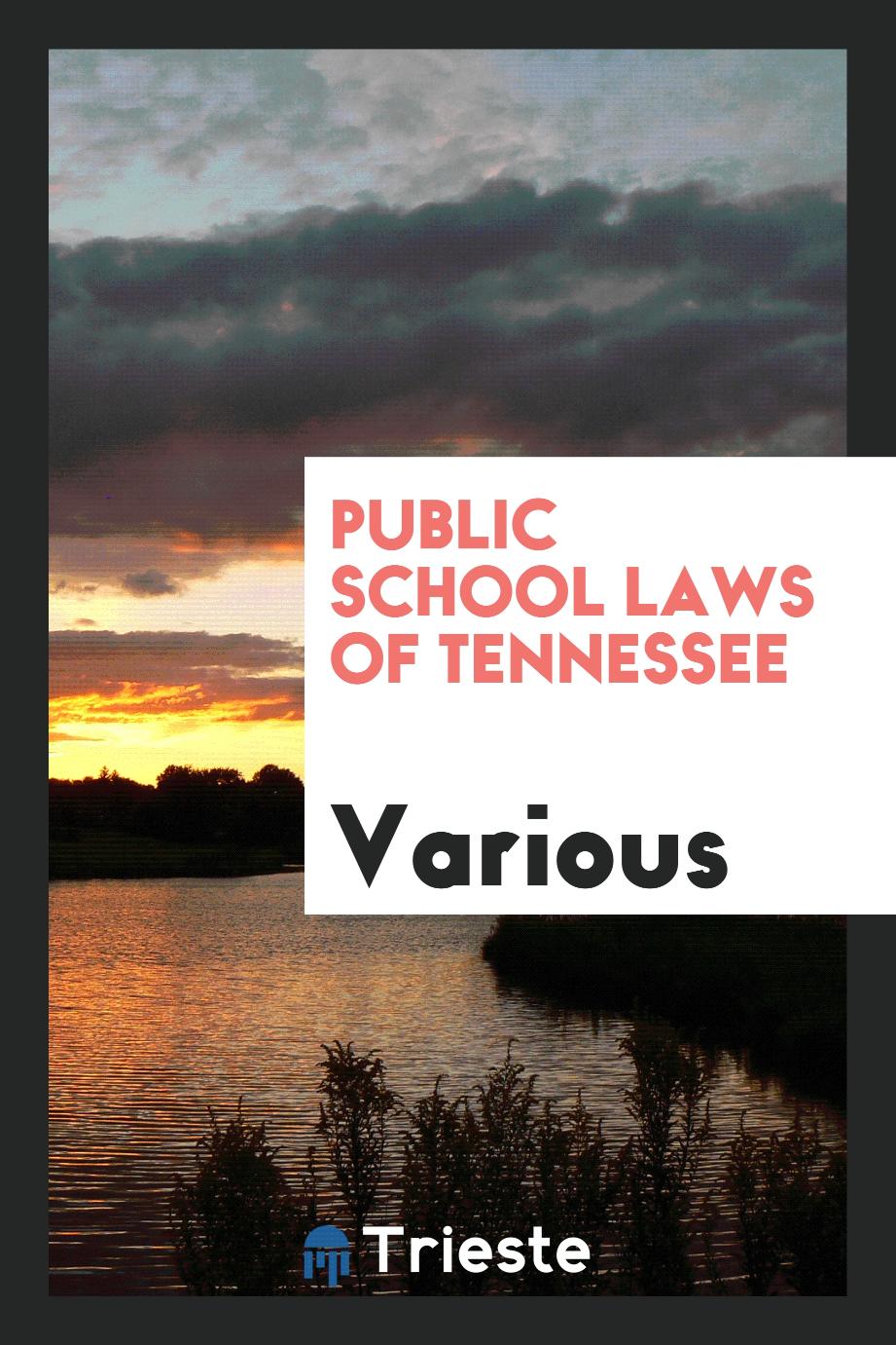 Public School Laws of Tennessee