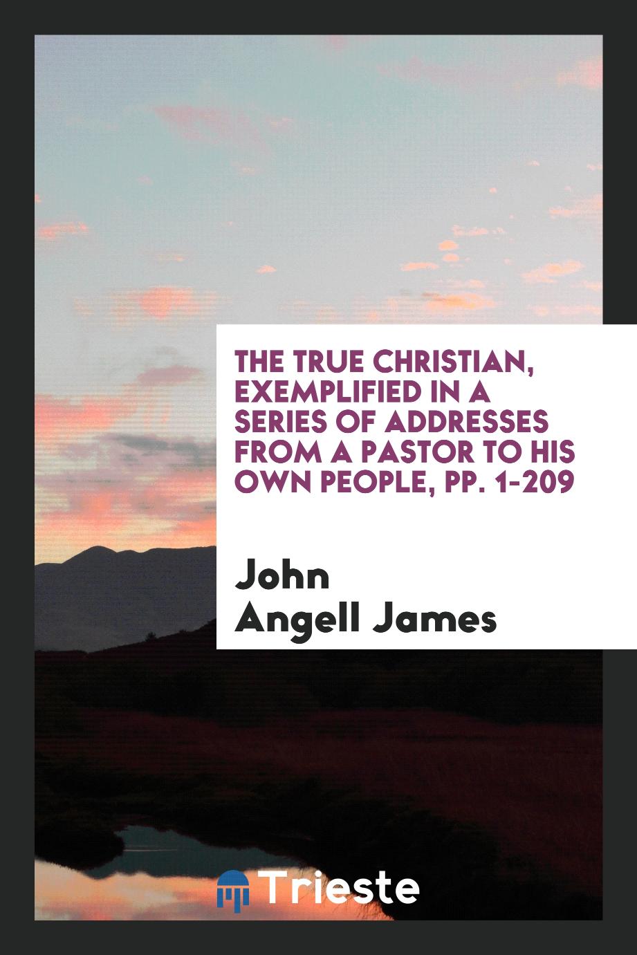 The True Christian, Exemplified in a Series of Addresses from a Pastor to His Own People, pp. 1-209