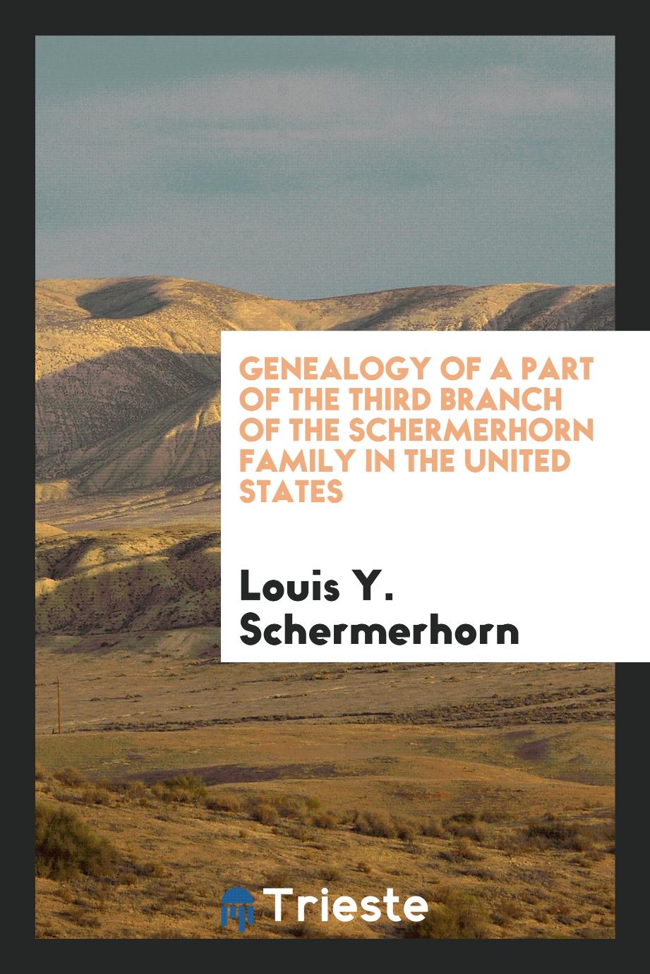 Genealogy of a part of the third branch of the Schermerhorn family in the United States