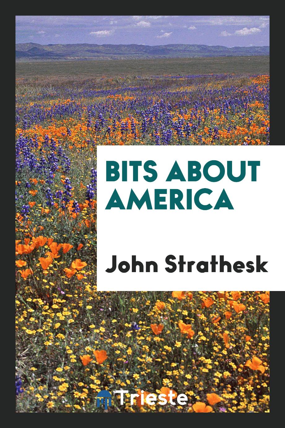 Bits about America