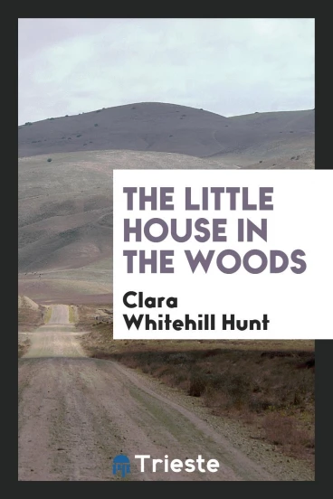 The little house in the woods