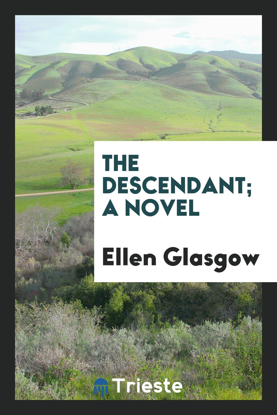 The descendant; a novel