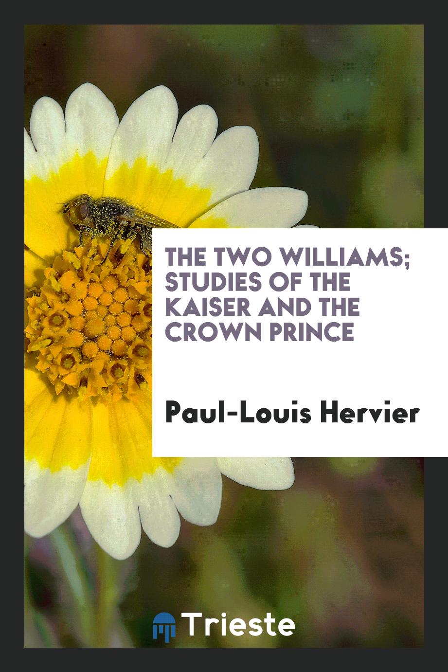 The two Williams; studies of the Kaiser and the Crown prince