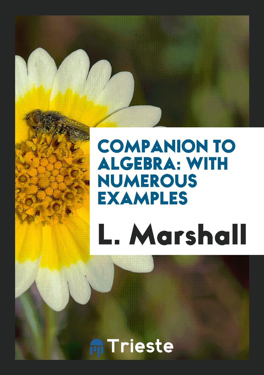Companion to Algebra: With Numerous Examples
