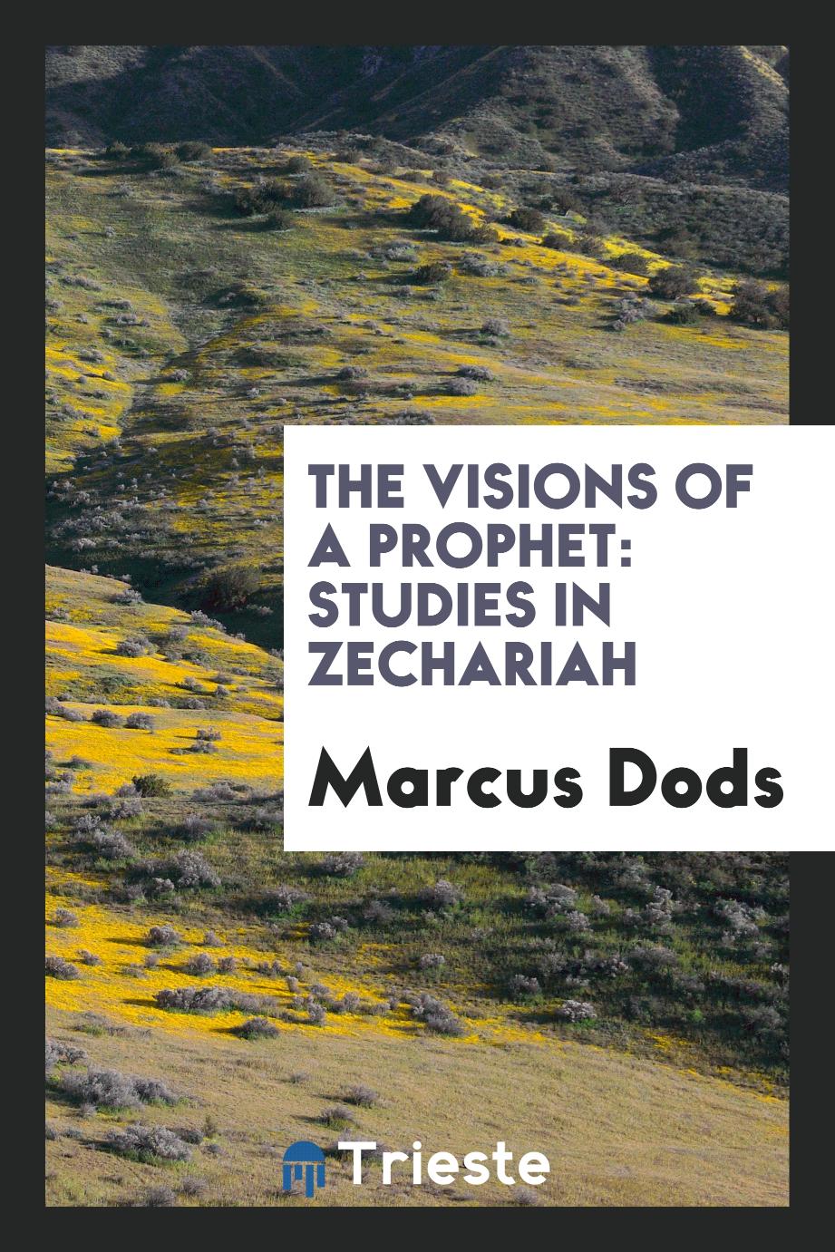 The visions of a prophet: studies in Zechariah