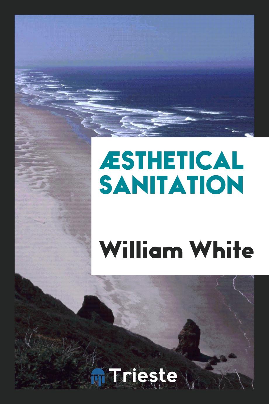 Æsthetical sanitation
