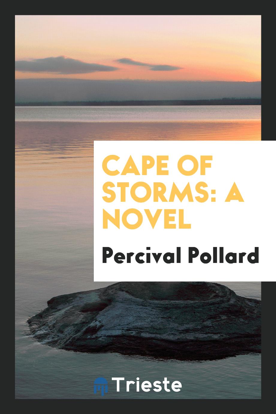 Cape of Storms: a novel