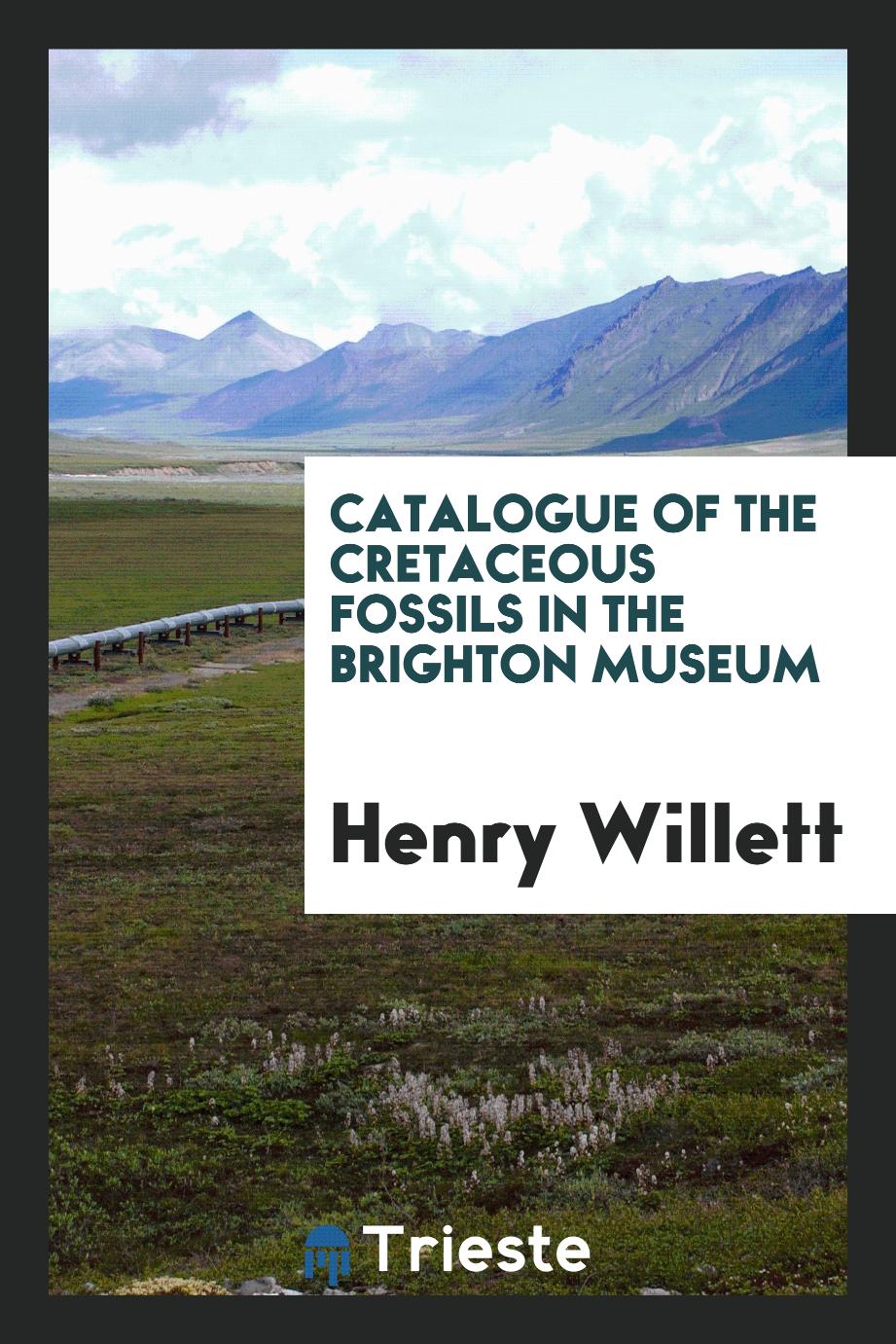 Catalogue of the Cretaceous fossils in the Brighton museum