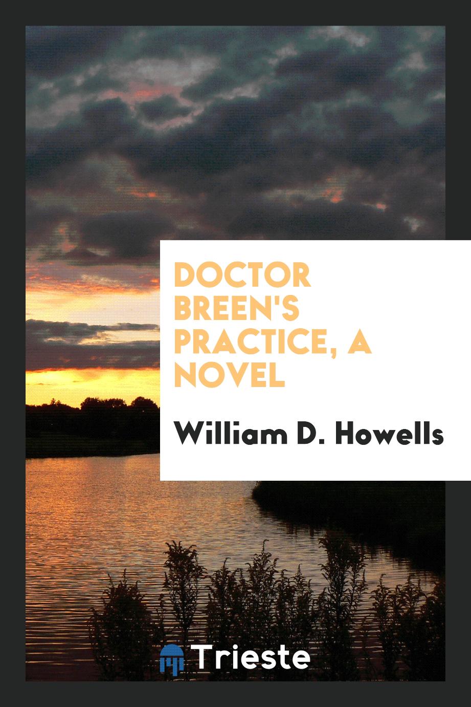 Doctor Breen's practice, a novel