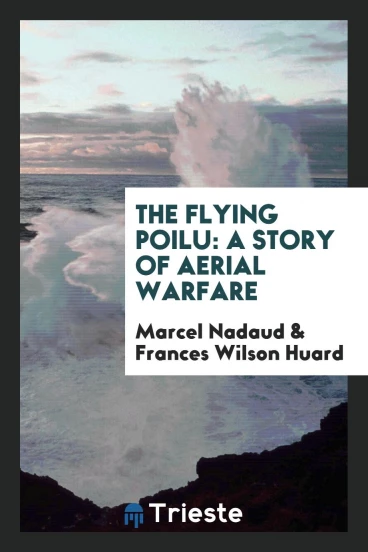 The Flying Poilu: A Story of Aerial Warfare