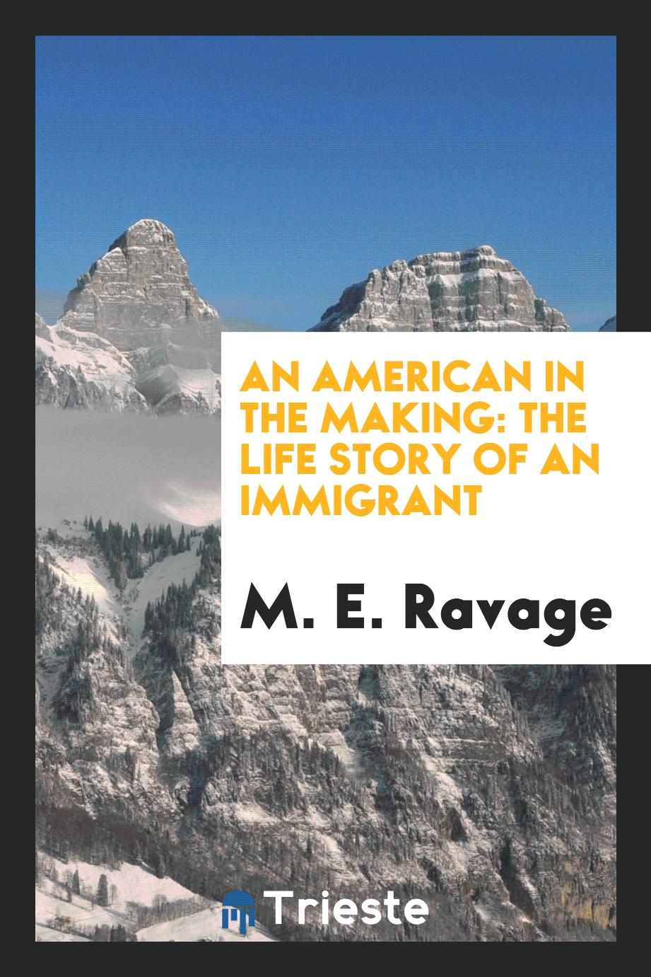 An American in the making: the life story of an immigrant