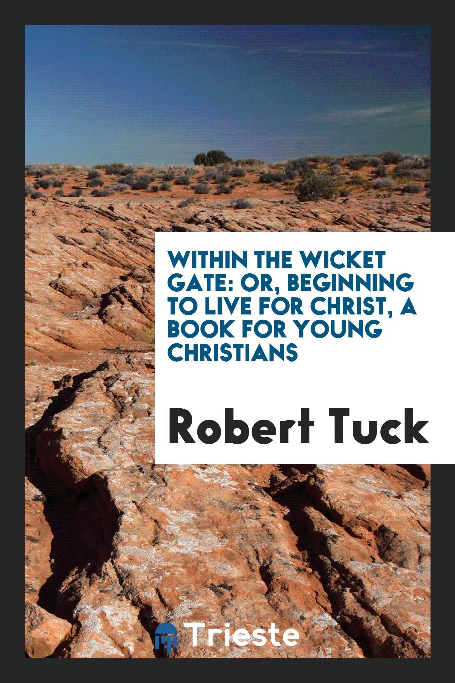 Within the Wicket Gate: Or, Beginning to Live for Christ, a Book for Young Christians