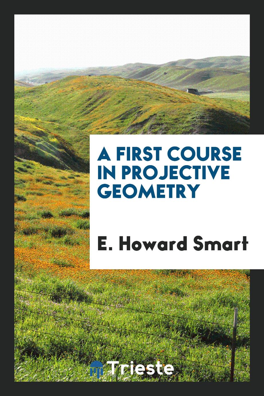 A First Course in Projective Geometry