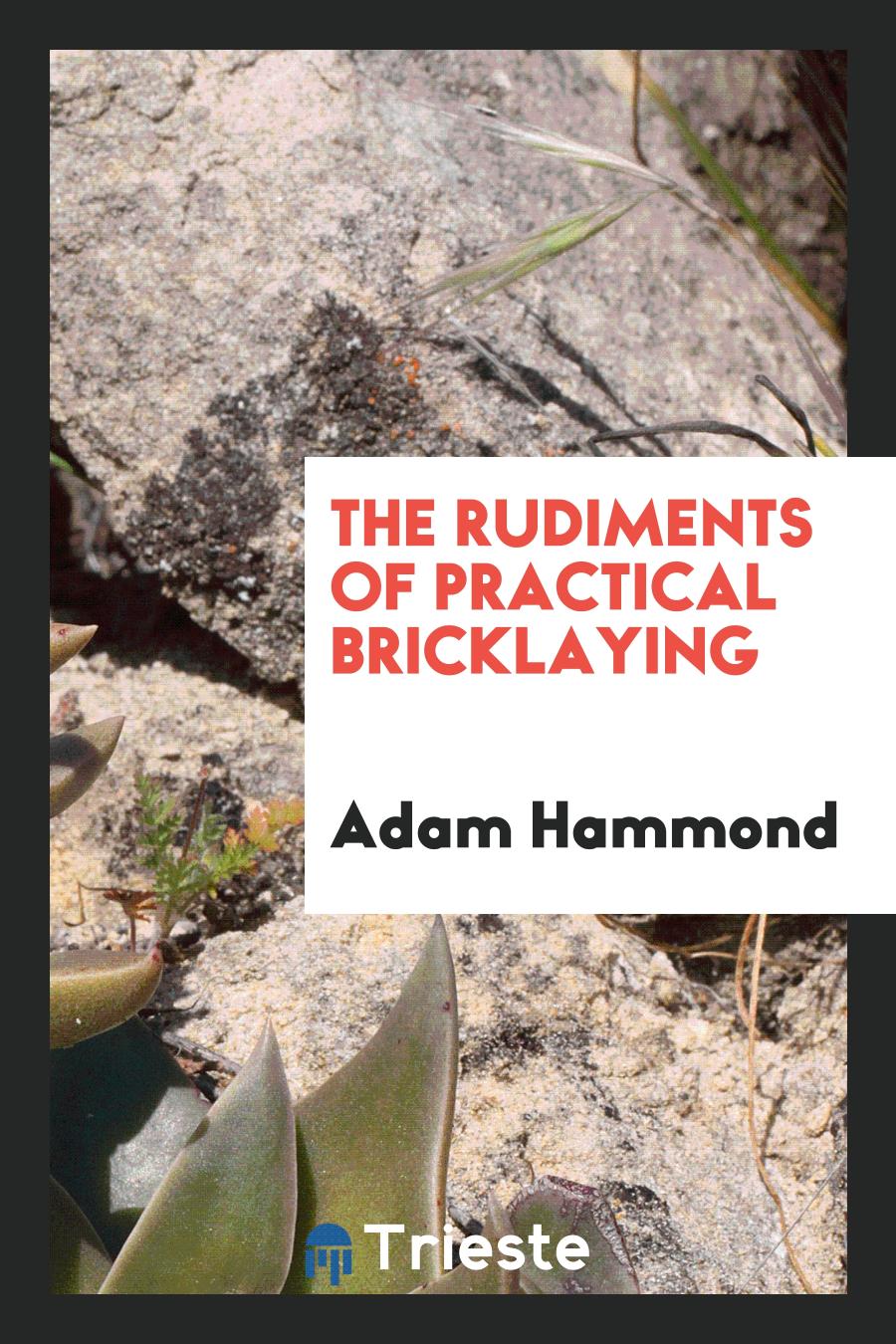 The Rudiments of Practical Bricklaying