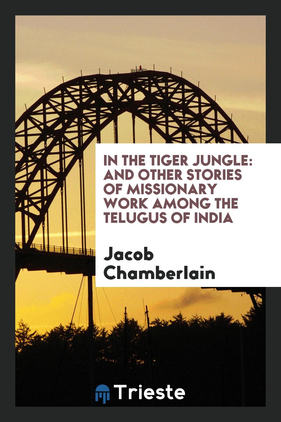 In the tiger jungle: and other stories of missionary work among the Telugus of India