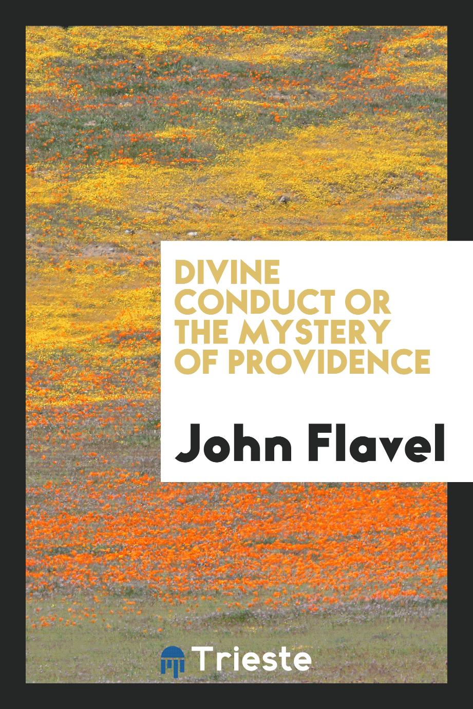 Divine conduct or The mystery of Providence