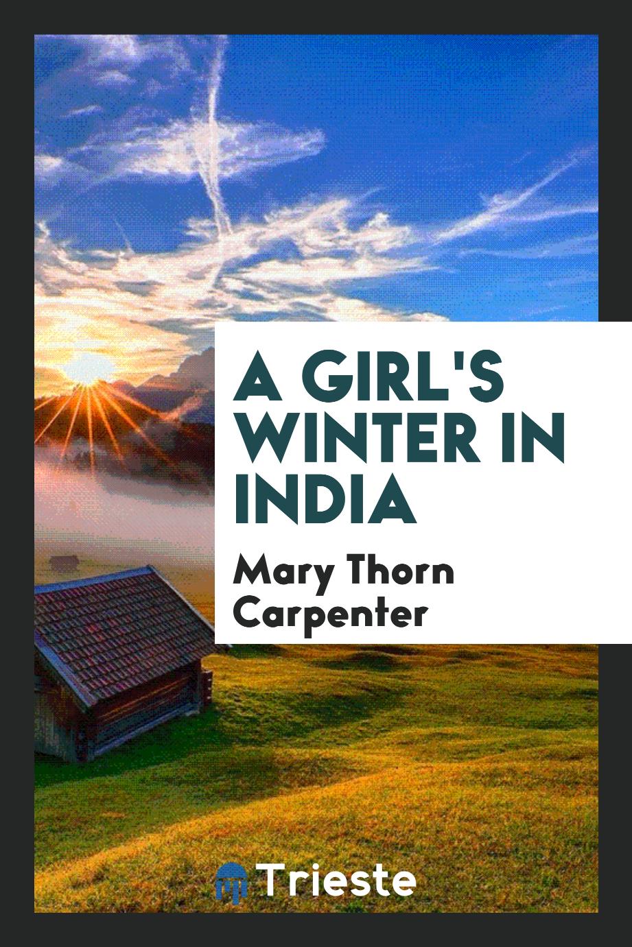 A girl's winter in India
