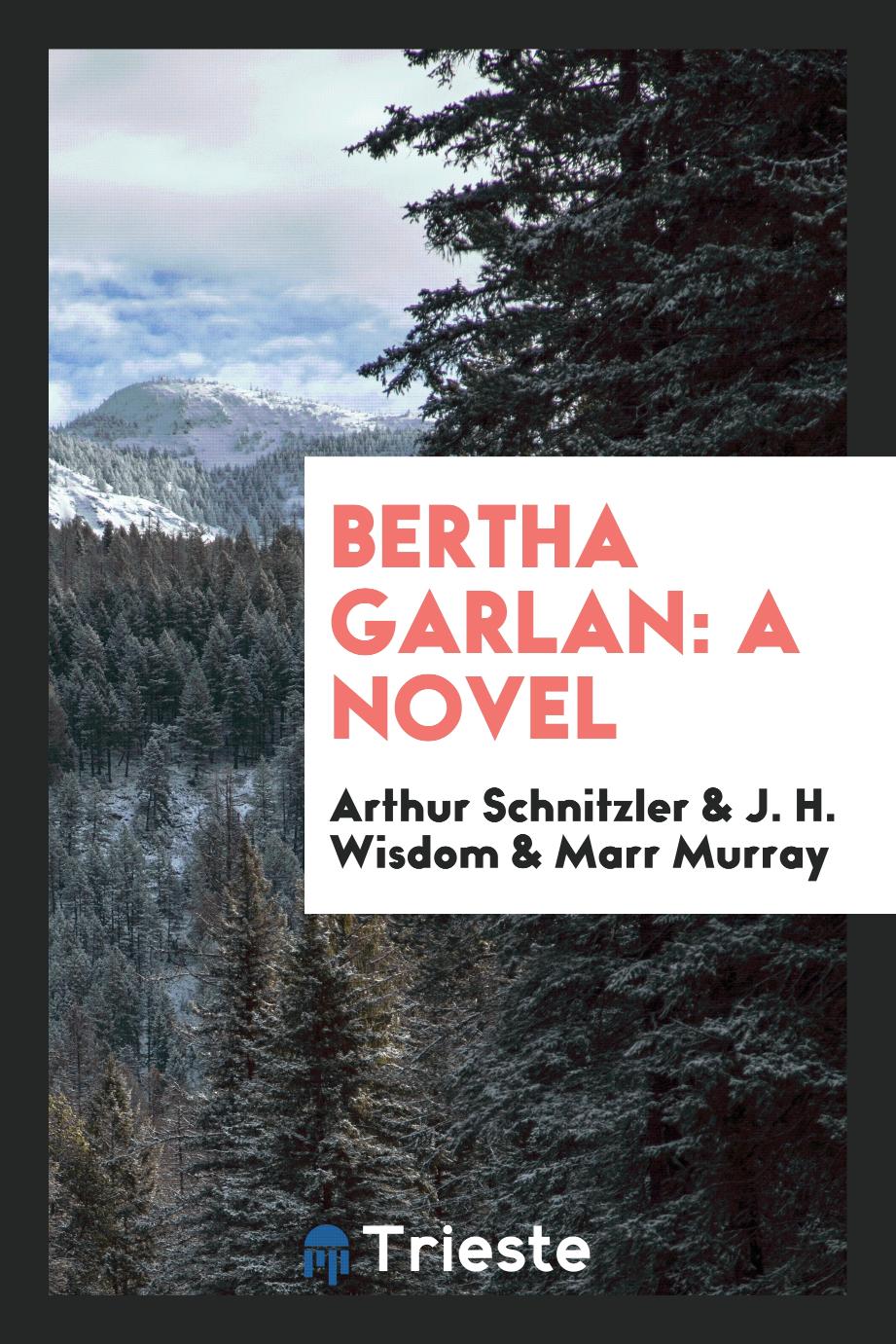 Bertha Garlan: a novel