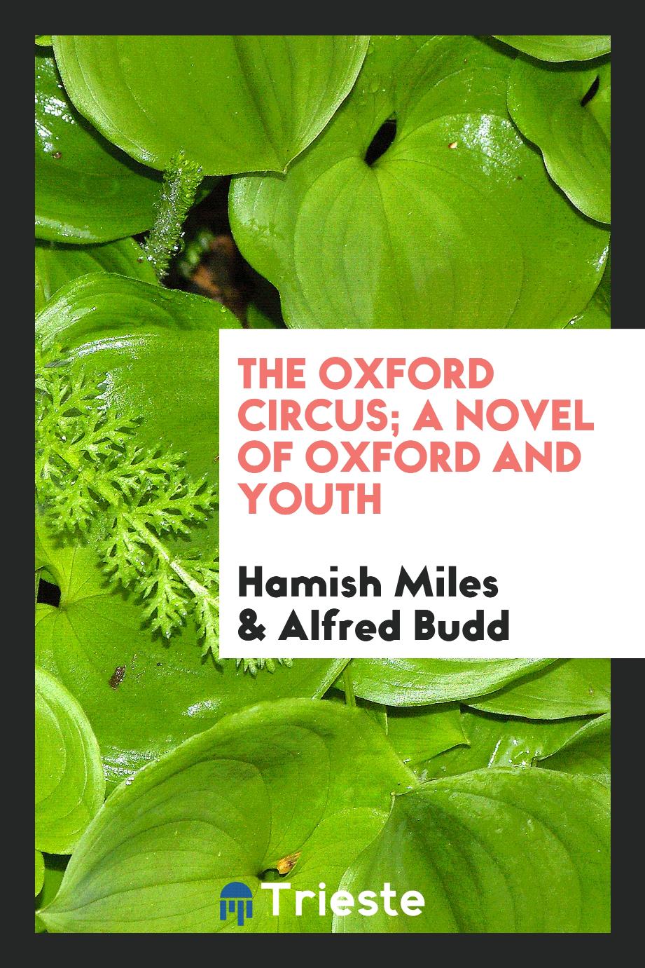 The Oxford circus; a novel of Oxford and youth