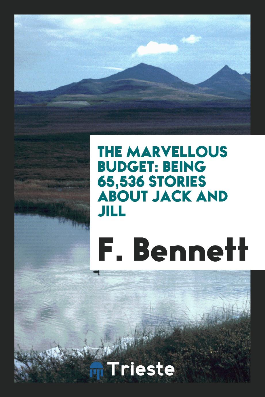 The marvellous budget: being 65,536 stories about Jack and Jill