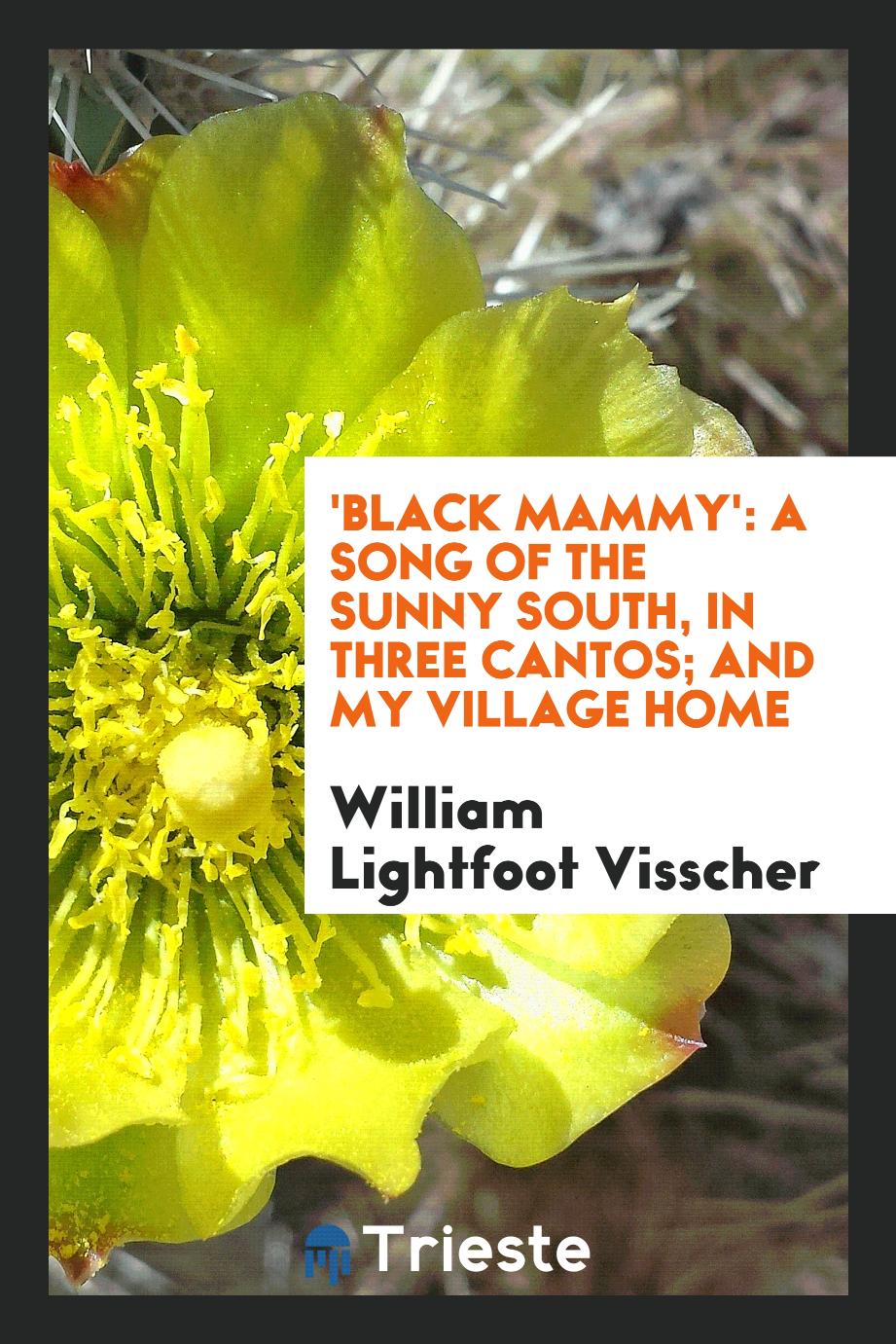 'Black Mammy': A Song of the Sunny South, in Three Cantos; and My Village Home