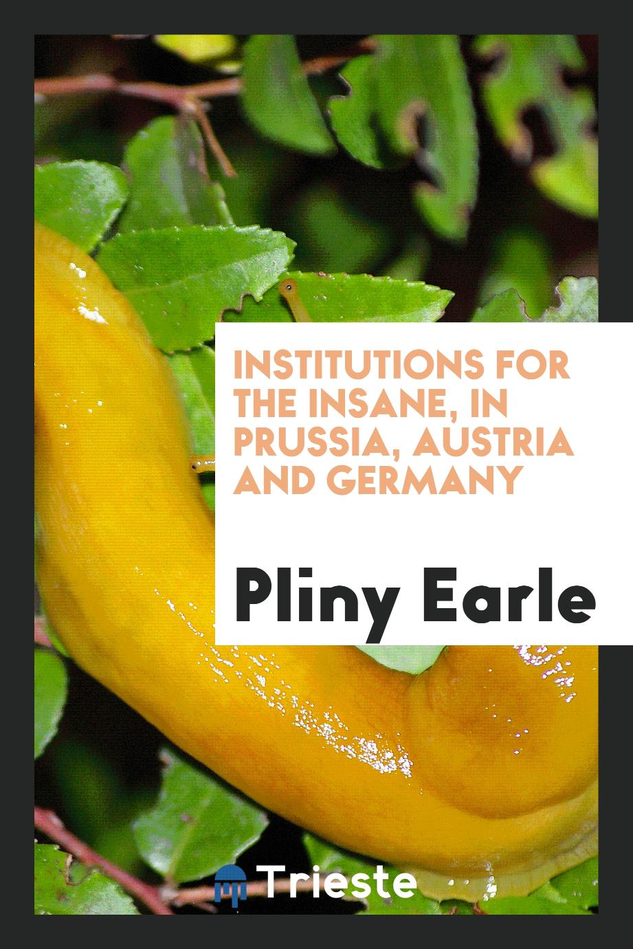 Institutions for the Insane, in Prussia, Austria and Germany