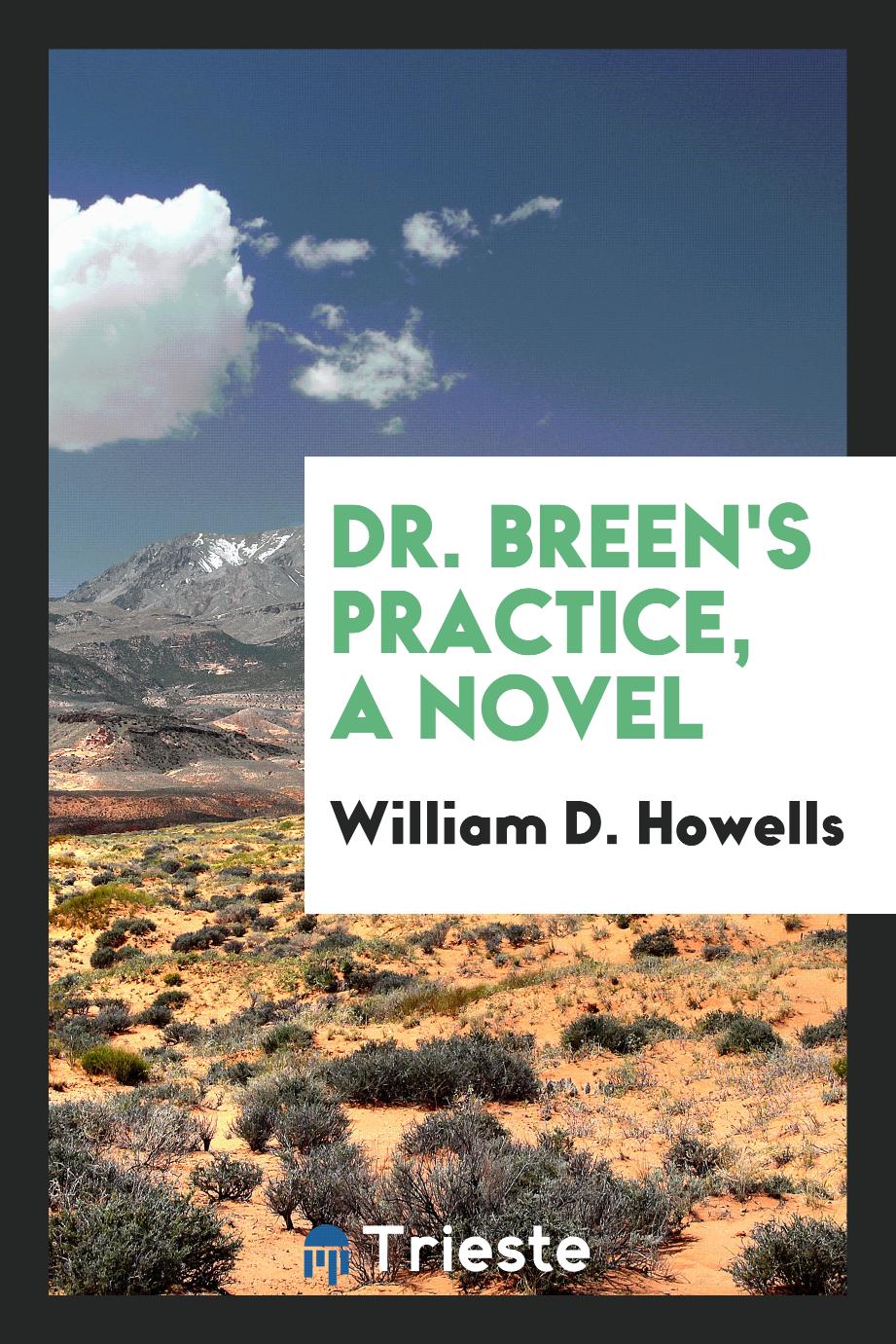 Dr. Breen's practice, a novel