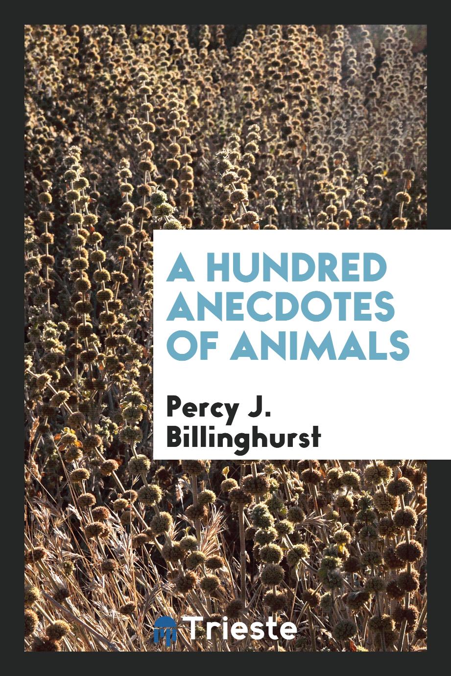 A hundred anecdotes of animals