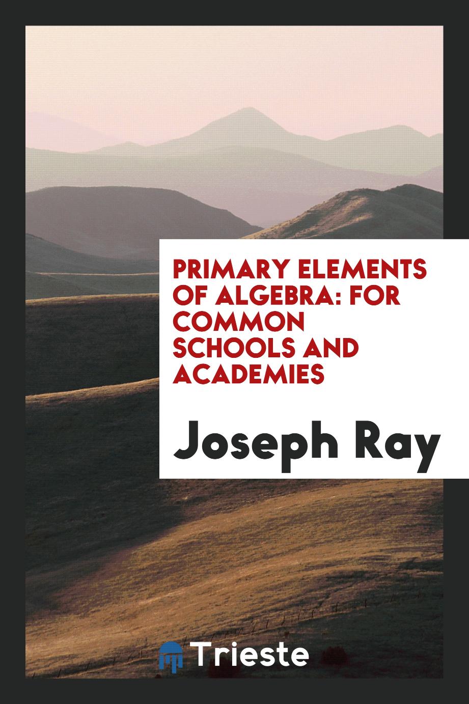 Primary elements of algebra: for common schools and academies
