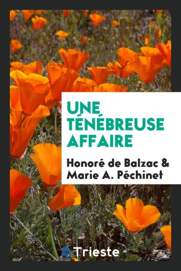 Une ténébreuse affaire