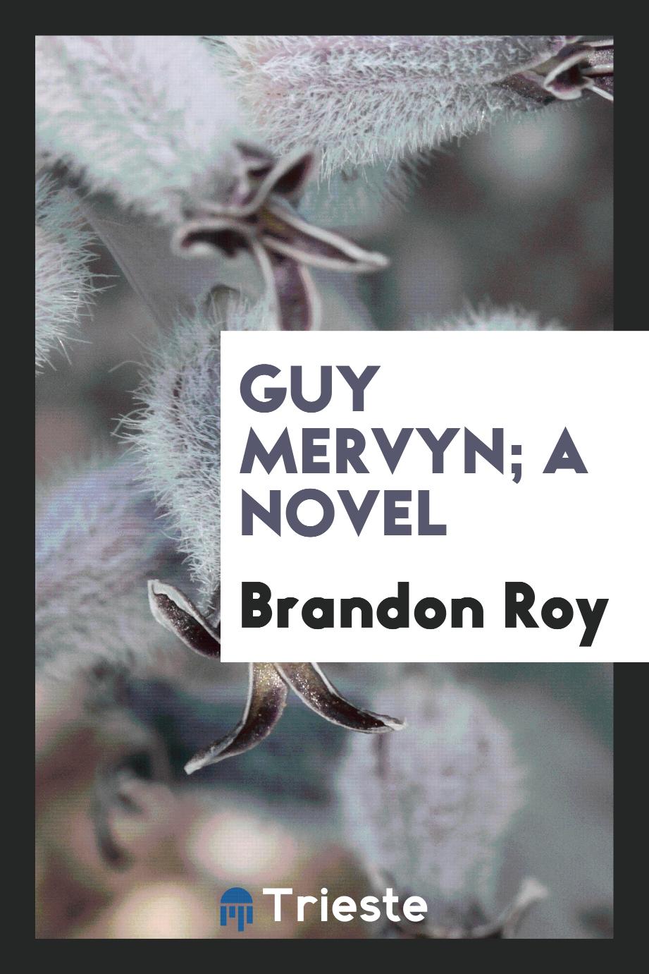 Guy Mervyn; a novel