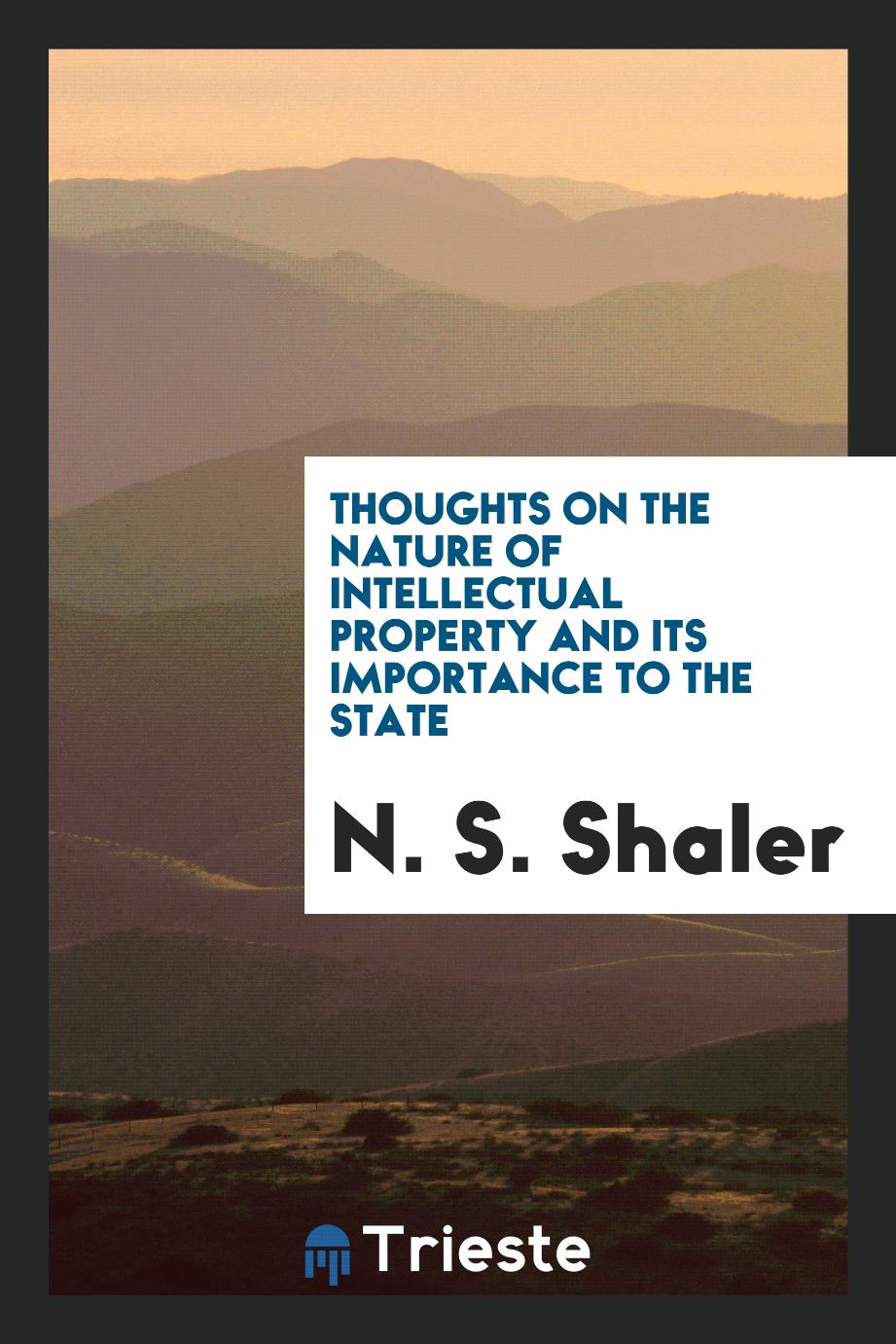 Thoughts on the Nature of Intellectual Property and Its Importance to the State