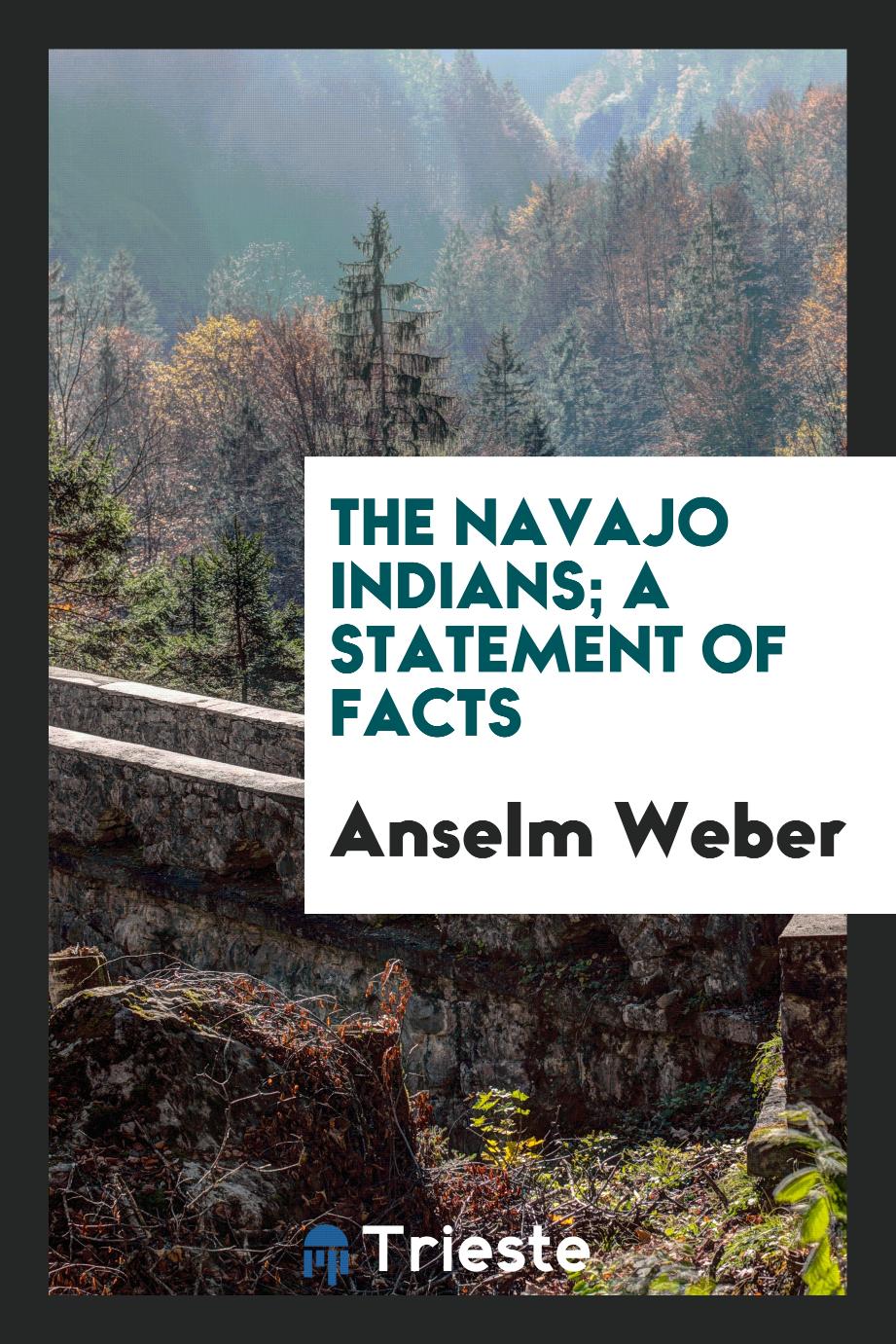 The Navajo Indians; a statement of facts