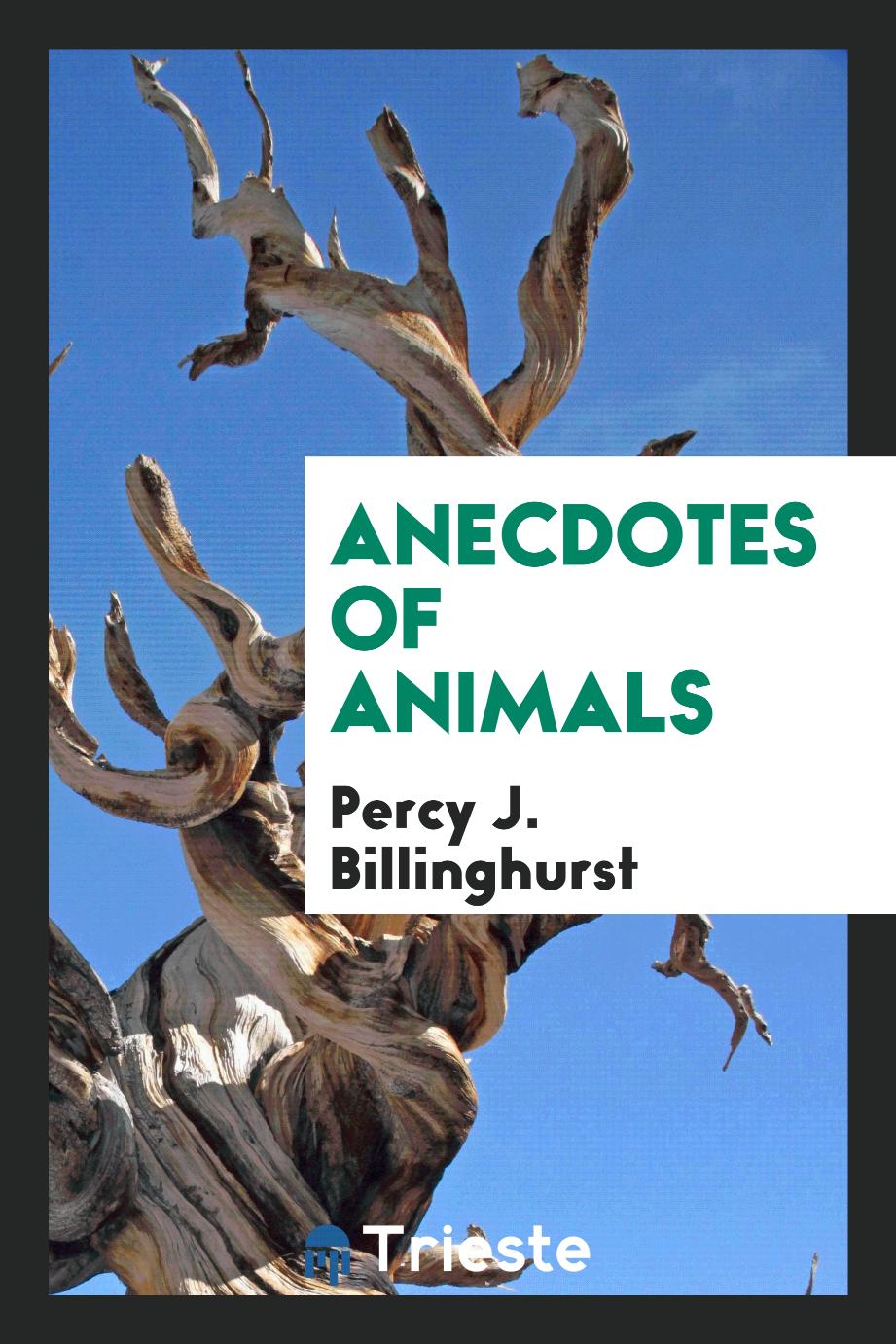Anecdotes of animals