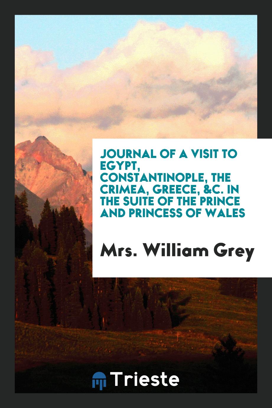 Journal of a Visit to Egypt, Constantinople, the Crimea, Greece, &C. In the Suite of the Prince and Princess of Wales