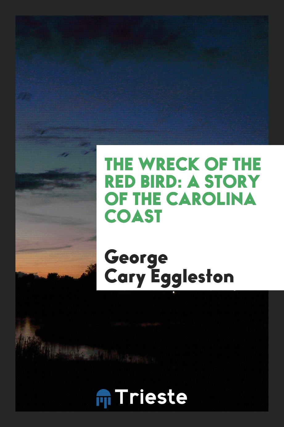The wreck of the red bird: a story of the Carolina coast
