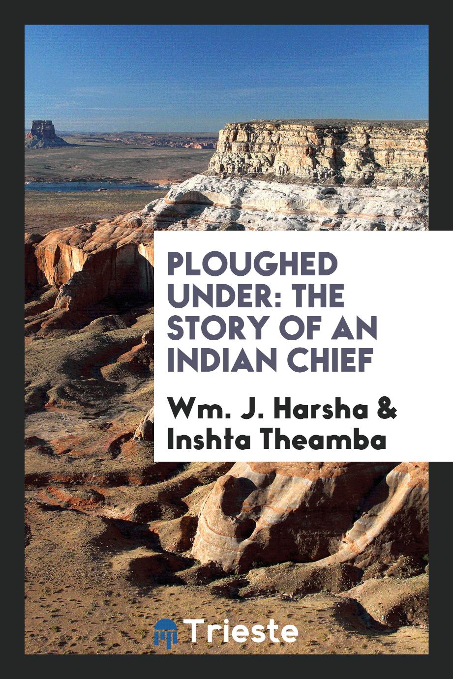 Ploughed under: the story of an Indian Chief
