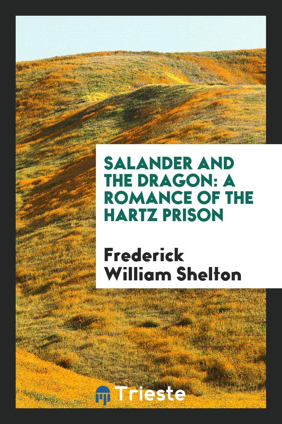 Salander and the Dragon: A Romance of the Hartz Prison